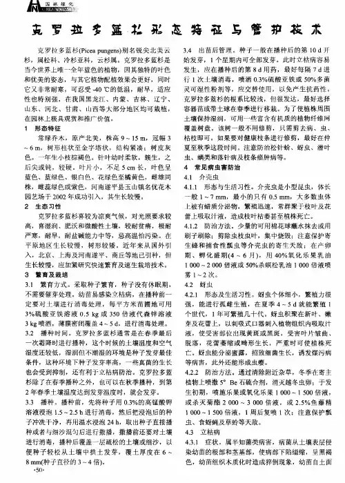 克罗拉多蓝杉形态特征与管护技术