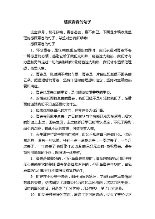感慨青春的句子