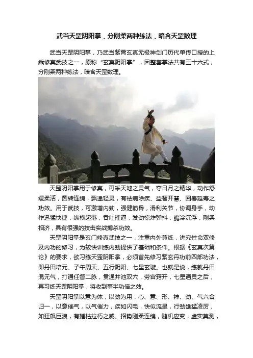 武当天罡阴阳掌，分刚柔两种练法，暗含天罡数理