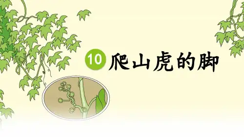 10 爬山虎的脚 课件(37张PPT)