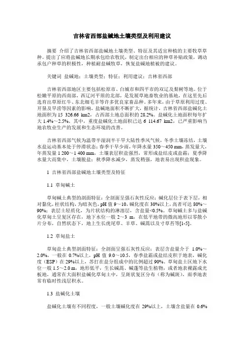 吉林省西部盐碱地土壤类型及利用建议