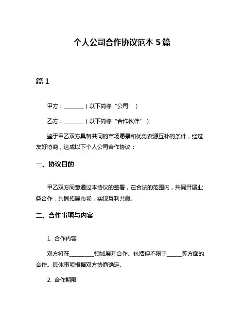 个人公司合作协议范本5篇