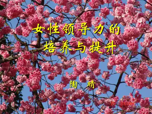 女性领导力PPT课件
