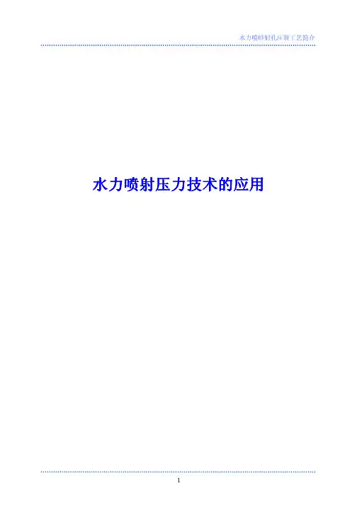 124766-水力喷砂射孔压裂工艺简介pdf