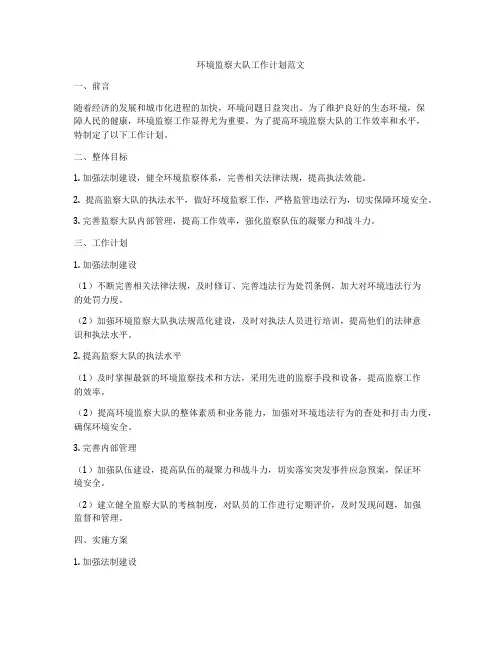 环境监察大队工作计划范文