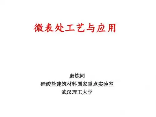 微表处技术工艺与应用