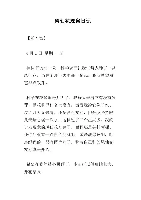 凤仙花观察日记