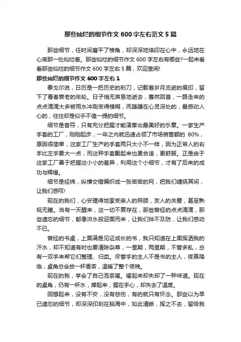 那些灿烂的细节作文600字左右范文5篇