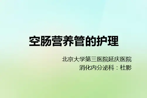 空肠营养管