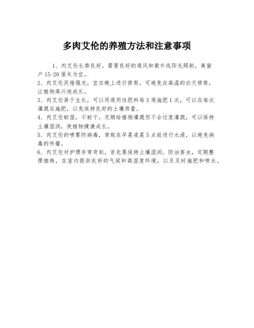 多肉艾伦的养殖方法和注意事项