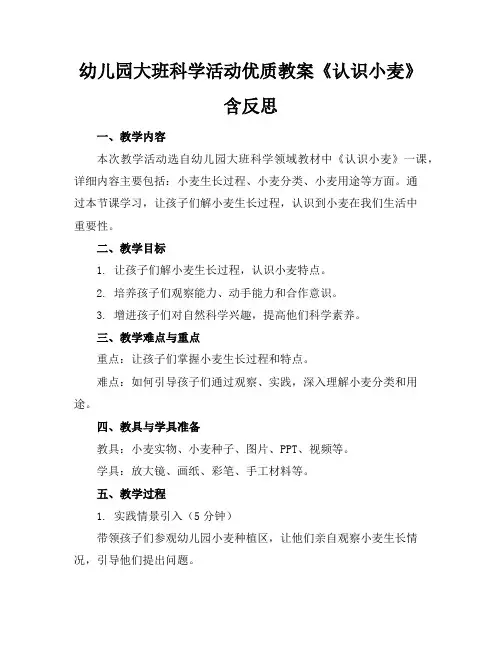 幼儿园大班科学活动优质教案《认识小麦》含反思