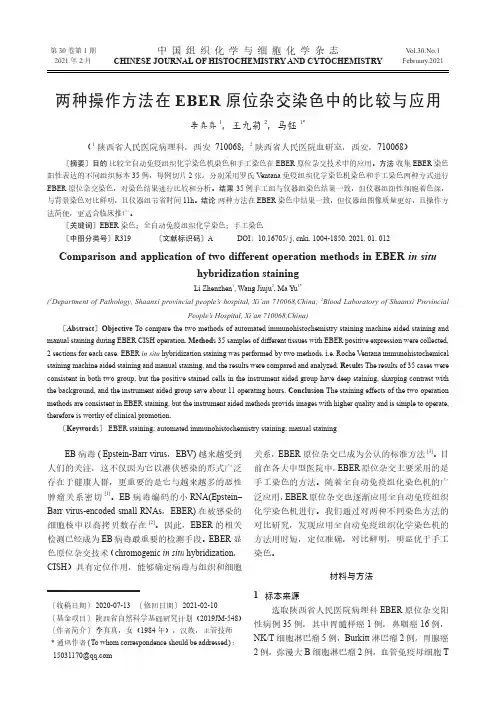 两种操作方法在EBER原位杂交染色中的比较与应用