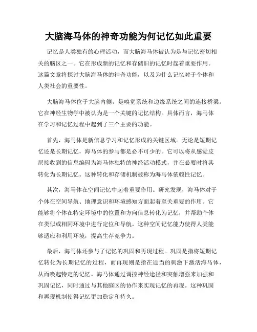 大脑海马体的神奇功能为何记忆如此重要