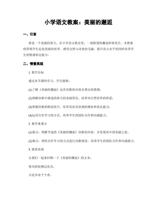 小学语文教案：美丽的邂逅