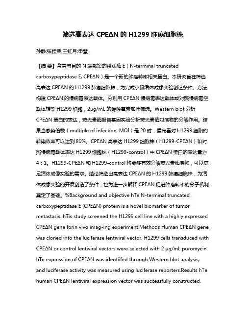 筛选高表达CPEΔN的H1299肺癌细胞株