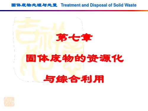 固体废物处理与处置 (4)