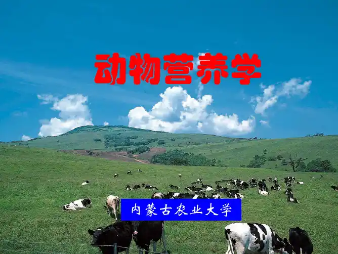 动物营养学