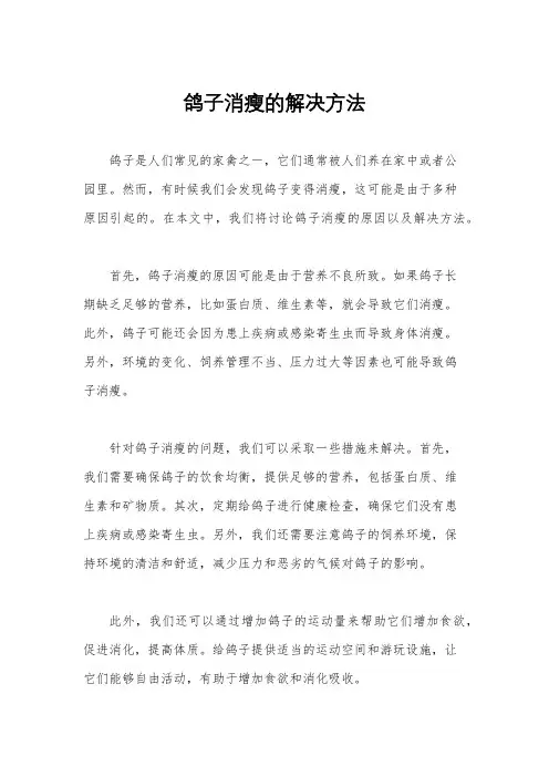 鸽子消瘦的解决方法