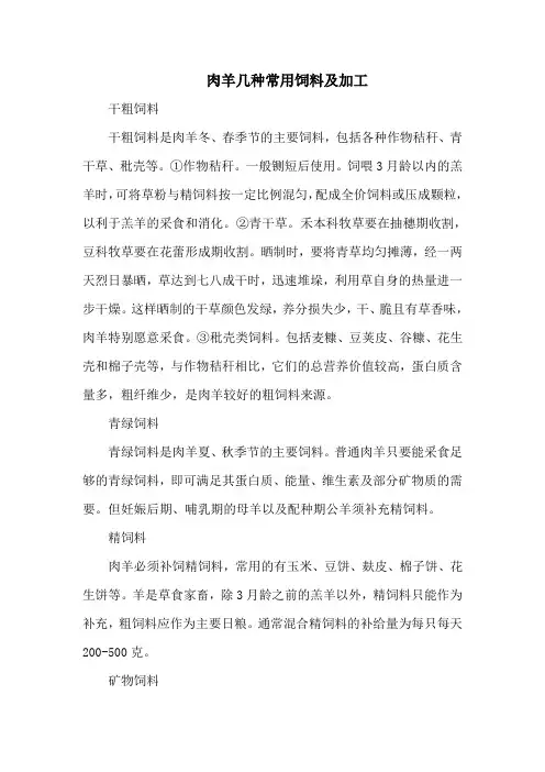 肉羊几种常用饲料及加工