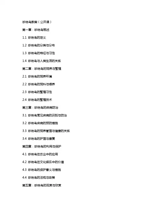 珍珠鸟教案(公开课)