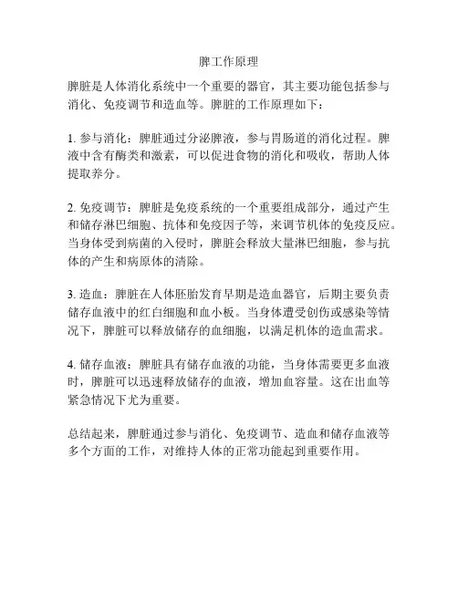 脾工作原理