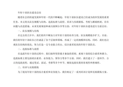 年轻干部队伍建设总结