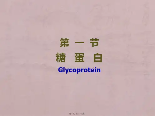 糖蛋白、蛋白聚糖-和细胞外基质-Glycoprotein--…
