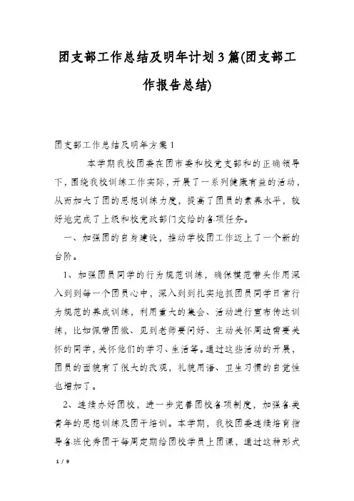 团支部工作总结及明年计划3篇(团支部工作报告总结)