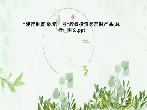 “建行财富-乾元一号”股权投资类理财产品(总行)_图文