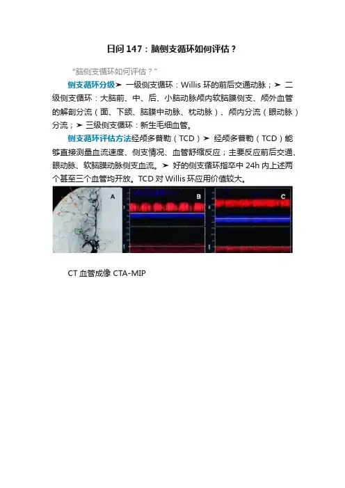 日问147：脑侧支循环如何评估？