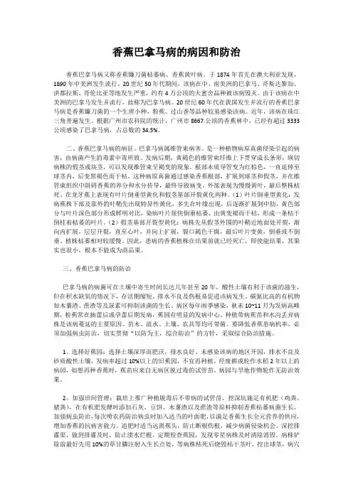 香蕉巴拿马病的病因和防治