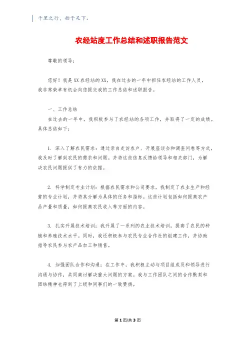 农经站度工作总结和述职报告范文