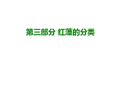 海藻学课件第三部分_红藻的分类01