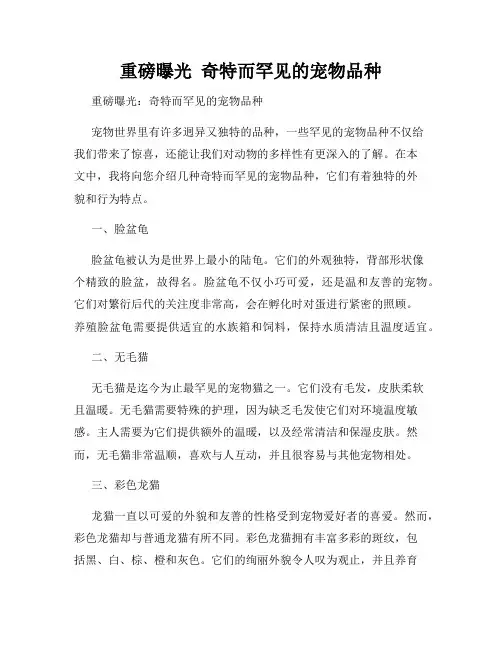重磅曝光  奇特而罕见的宠物品种