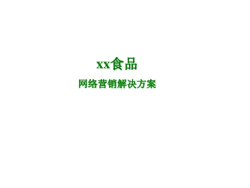 某食品网络营销解决方案PPT课件