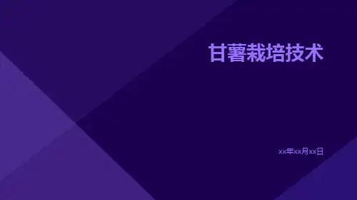 甘薯栽培技术