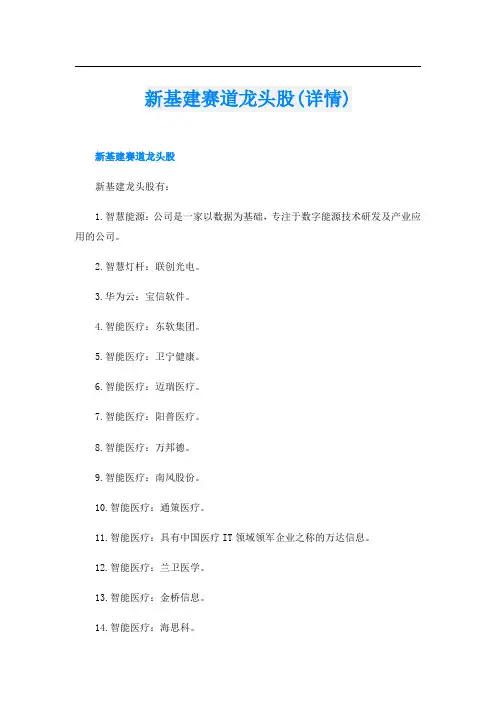 新基建赛道龙头股(详情)