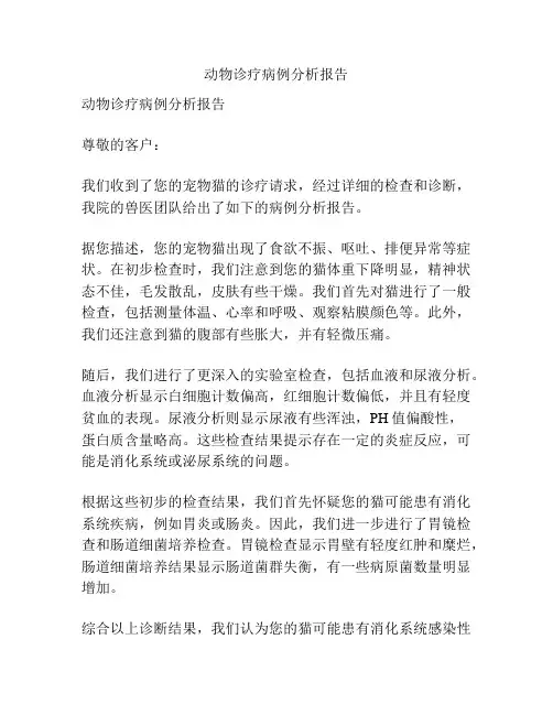 动物诊疗病例分析报告