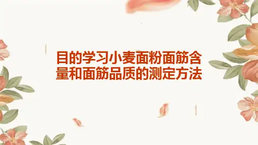 目的学习小麦面粉面筋含量和面筋品质的测定方法