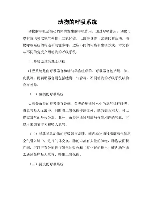 动物的呼吸系统