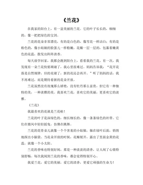 兰花作文400字以上四年级