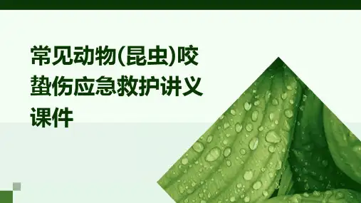 常见动物(昆虫)咬蛰伤应急救护讲义课件
