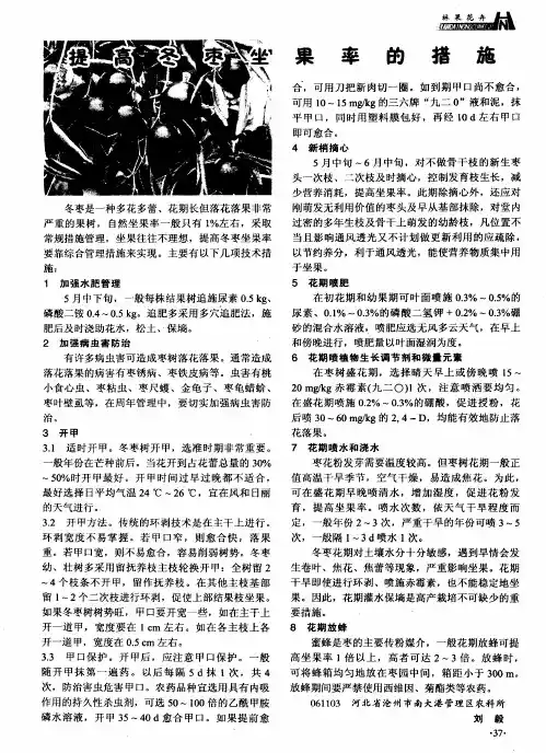 提高冬枣坐果率的措施