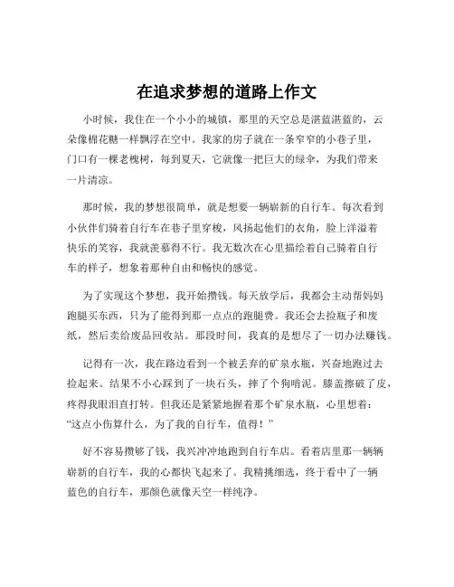 在追求梦想的道路上作文