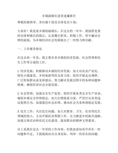 乡镇副镇长述责述廉报告