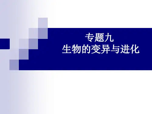 专题 生物的变异与进化