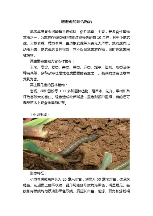地老虎的综合防治