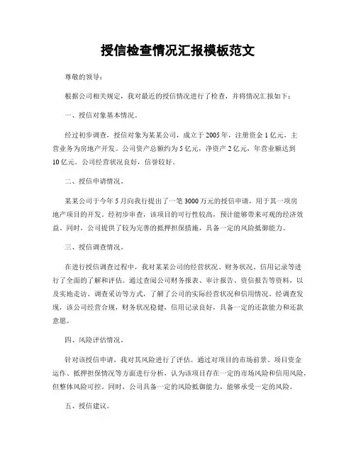 授信检查情况汇报模板范文