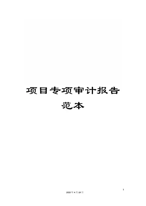 项目专项审计报告范本