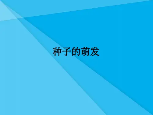 种子的萌发PPT课件31 人教版1优秀课件